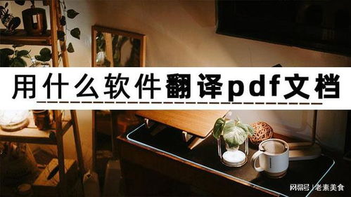 如何高效翻译PDF文档？三款人工智能软件深度解析与应用开发趋势